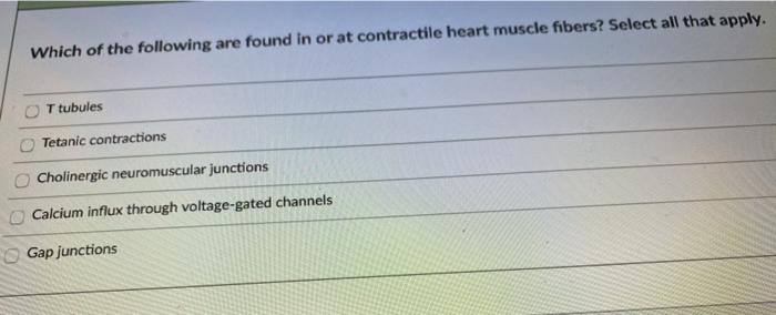 Which of the following are found in or at contractile heart muscle fibers? Select all that apply. T tubules