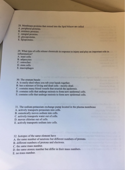 one dendrite. B. two dendrites. C. three dendrites. D. four dendrites. E.