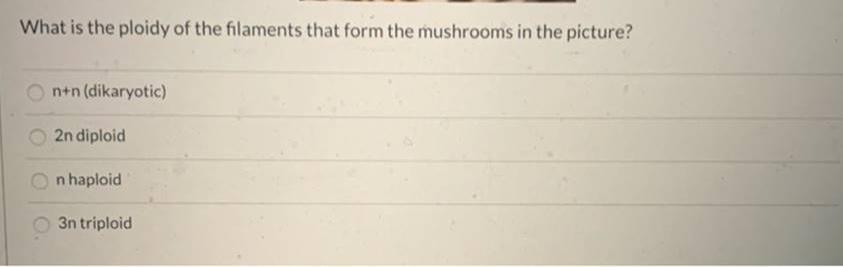 What is the ploidy of the filaments that form the mushrooms in the picture? On+n (dikaryotic) 2n diploid n