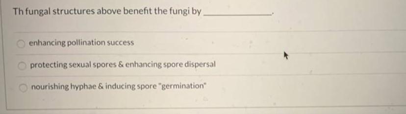 Th fungal structures above benefit the fungi by enhancing pollination success protecting sexual spores &