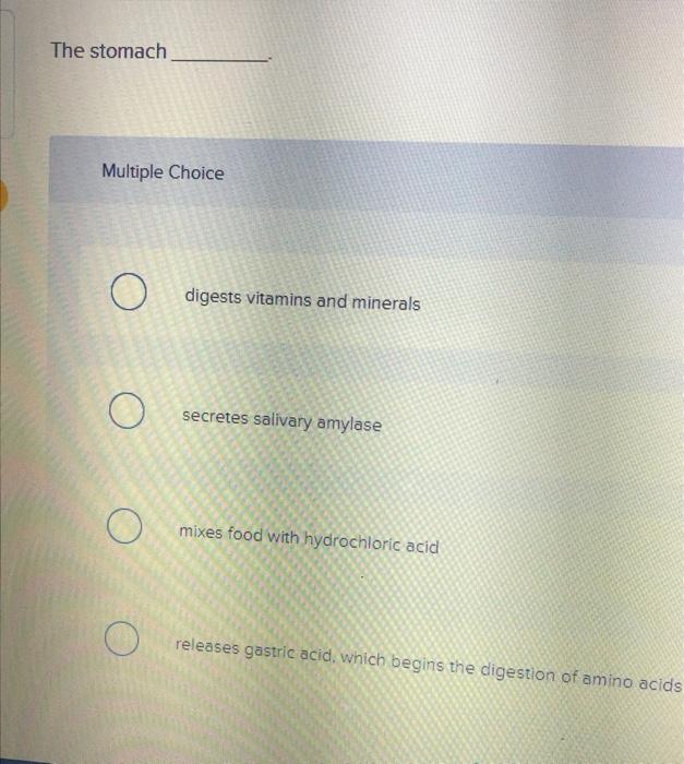 The stomach Multiple Choice Odigests vitamins and minerals Osecretes salivary amylase mixes food with hydrochloric acid rel