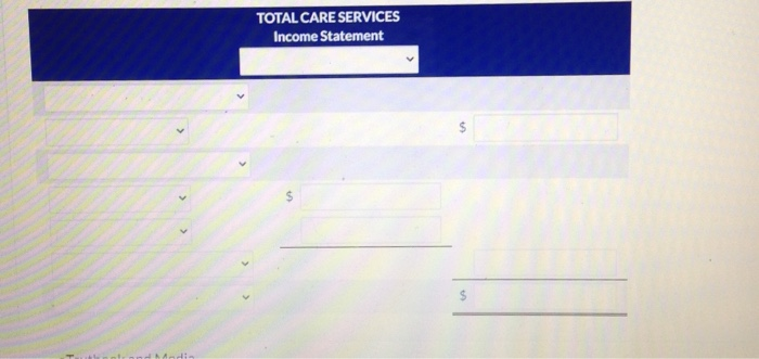 TOTAL CARE SERVICESIncome Statement$