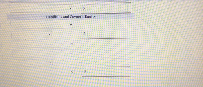$>Liabilities and Owners Equity$