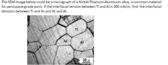 The SEM image below could be a micrograph of a Nickel-Titanium-Aluminum alloy, a common material for aerospace-grade parts. I