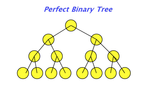 Perfect Binary Tree % % % . ????