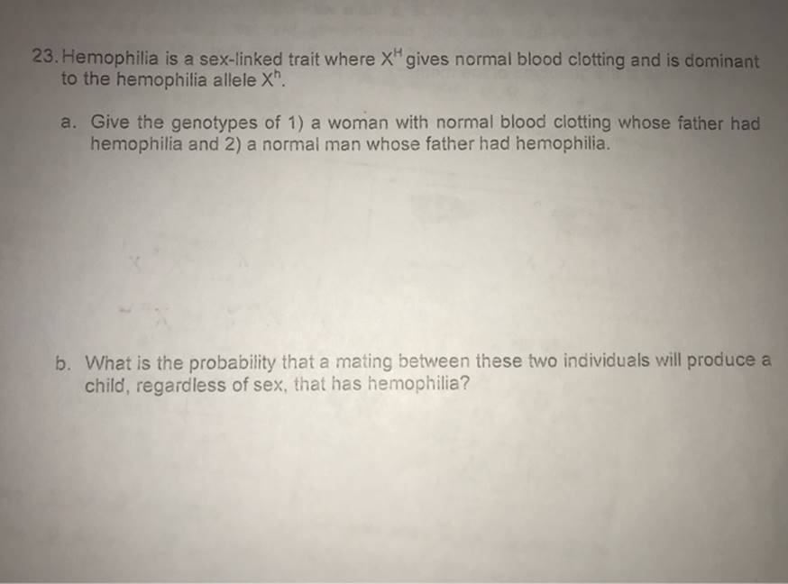 Solved 23 Hemophilia Is A Sex Linked Trait Wher Solutioninn 4024