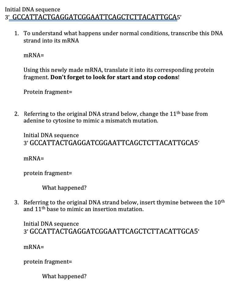 Bio 160 Transcription and Translation ActivityInitial DNA sequence3 GCCATTACTGAGGATCGGAATTCAGCTCTTACATTGCA51. To underst