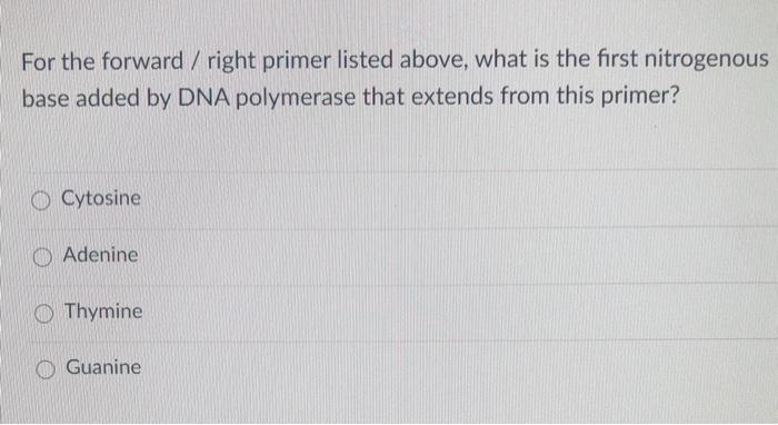 For the forward / right primer listed above, what is the first nitrogenousbase added by DNA polymerase that extends from thi