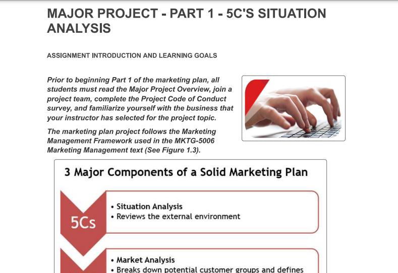 MAJOR PROJECT - PART 1 - 5C'S SITUATION ANALYSIS ASSIGNMENT INTRODUCTION AND LEARNING GOALS Prior to