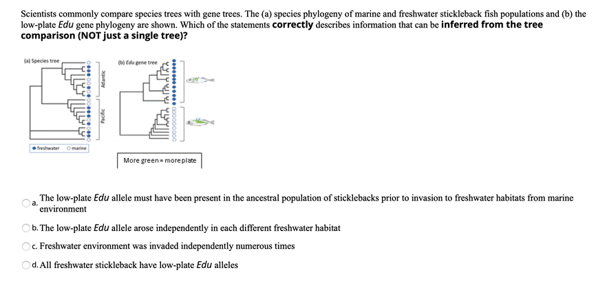 Scientists commonly compare species trees with gene trees. The (a) species phylogeny