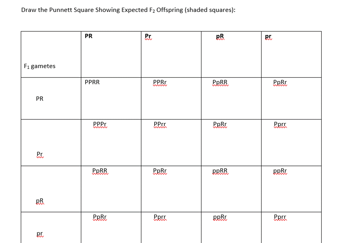 Draw the Punnett Square Showing Expected F Offspring (shaded squares): F gametes PR Pr PR pr PR PPRR PPPr
