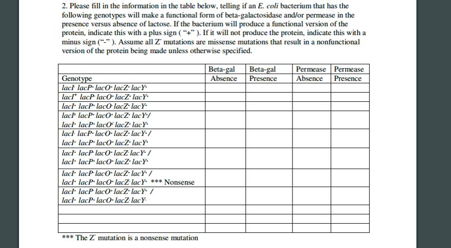 2. Please fill in the information in the table below, telling if an E. coli bacterium that has the following genotypes will make a functional form of beta-galactosidase and/or permease in the presence versus absence of lactose. If the bacterium will produce a functional version of the protein, indicate this with a plus sign If it will not produce the protein, indicate this with a minus sign Assume all z mutations are missense mutations that result in a nonfunctional version of the protein being made unless otherwise specified. Beta-gal Beta-gal Permease Permease Genotype Absence Presence nce Presence lach lacP laco- lacz. lacY lacl lacP lacO lacz lacY lacF lacP laco lacZ lacY lacI. lacP laco lacz lacY lach lacP. laco- lacz. lacY lacI. lacP laco lacz lacY lacl. lacP lac lacZ lacY lacl. lacP. laco- lacz lacY lacl lacP laco- lacz lacY lacl lacP laco lacz lacY Nonsense lacl. lacP laco- lacz lacY lacl lacP. laco- lacz lacY The z mutation is a nonsense mutation