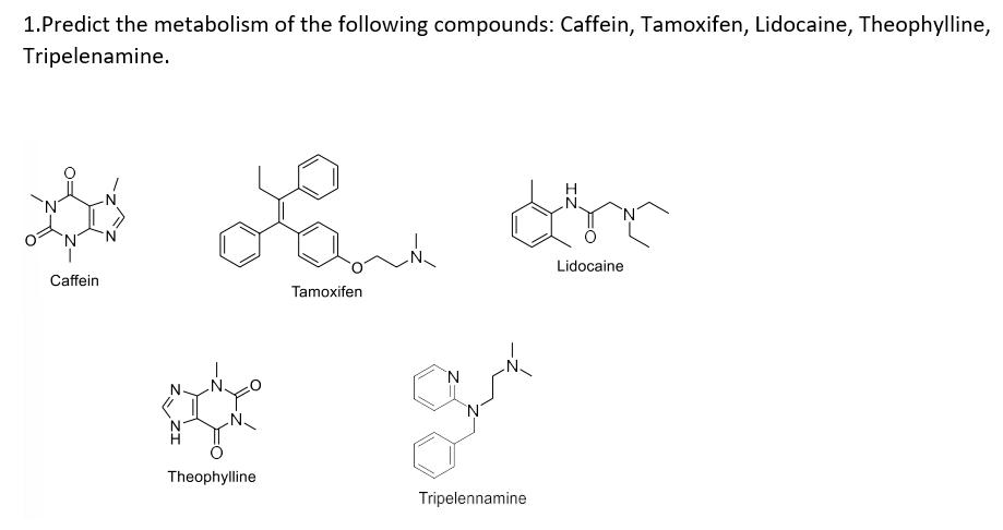 1.Predict the metabolism of the following compounds: Caffein, Tamoxifen, Lidocaine, Theophylline, Tripelenamine. Caffein Tamo
