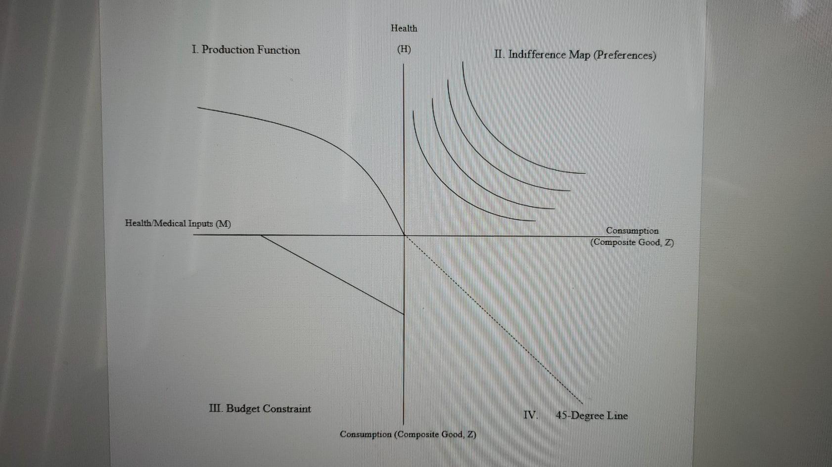 Health I Production Function (H) II. Indifference Map (Preferences) Health/Medical Inputs (M) Consumption (Composite Good, Z)