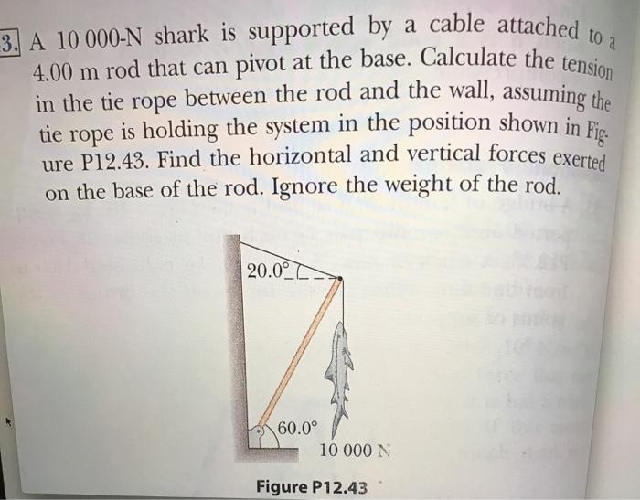 3. A 10 000-N shark is supported by a cable attached 4.00 m rod that can pivot at the base. Calculate the te in the tie rope