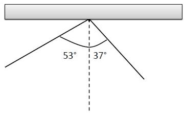 Image for If Willie who weighs 70 kg starts from rest with the trapeze at an angle of 53 degrees to the left of the vert