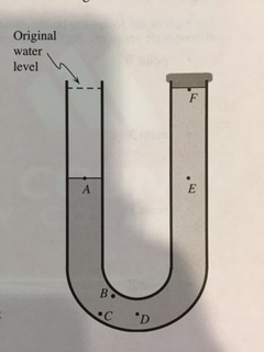 A U-tube filled with water is closed on one end. T