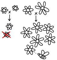 A model of Darwin's postulates using groups of cartoon flowers with short and long petals. On the left are two flowers with short petals. Centered between them is a small x, beneath which lies a down-arrow. Stacked below the arrow are two flowers with short petals, and the lower flower has a large red X overlying it. On the right are two flowers with long petals. Centered between them is a small x, beneath which lies a down-arrow. Under the arrow there is a group of six flowers with long petals, and a cartoon bee, with a short dotted line from its head to the lowest flower.