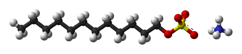 ball-and-stick model of ammonium lauryl sulfate; a lauryl sulfate anion chain containing 25 hydrogen atoms and 12 carbon atoms bonded to a sulfate molecule containing a sulfur atom with four oxygen atoms (left); an ammonium cation with four hydrogen atoms bonded to a nitrogen atom in a tetrahedral structure (right)