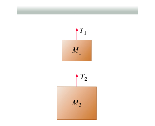 two blocks with masses M1 and M2 hang one under th