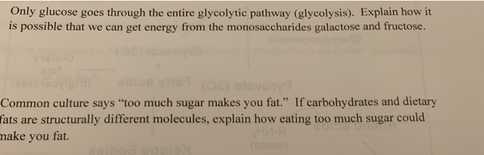 Only glucose goes through the entire glycolytic pathway (glycolysis). Explain how it is possible that we can get energy from