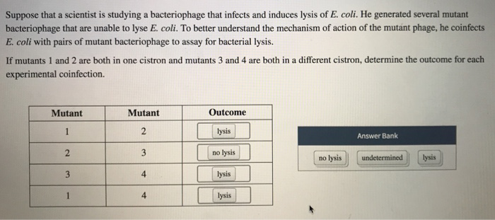 Suppose that a scientist is studying a bacteriophage that infects and induces lysis of E. coli. He generated several mutant b