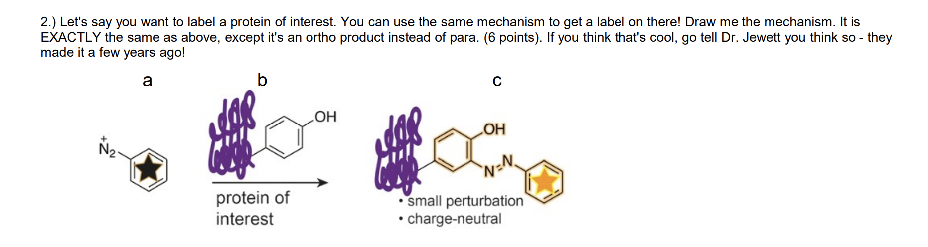 2.) Lets say you want to label a protein of interest. You can use the same mechanism to get a label on there! Draw me the me