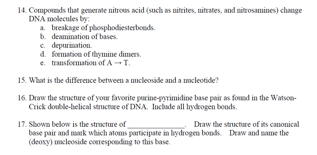 14. Compounds that generate nitrous acid (such as nitrites, nitrates, and nitrosamines) change DNA molecules by: a. breakage of phosphodiesterbonds. b. deamination of bases. c. depurination d. formation of thymine dimers. e. transformation of AT 15. What is the difference between a nucleoside and a nucleotide? 16. Draw the structure of your favorite purine-pyrimidine base pair as found in the Watson Crick double-helical structure of DNA. Include all hydrogen bonds. 17. Shown below is the structure of Draw the structure of its canonical base pair and mark which atoms participate in hydrogen bonds. (deoxy) nucleoside corresponding to this base Draw and name the