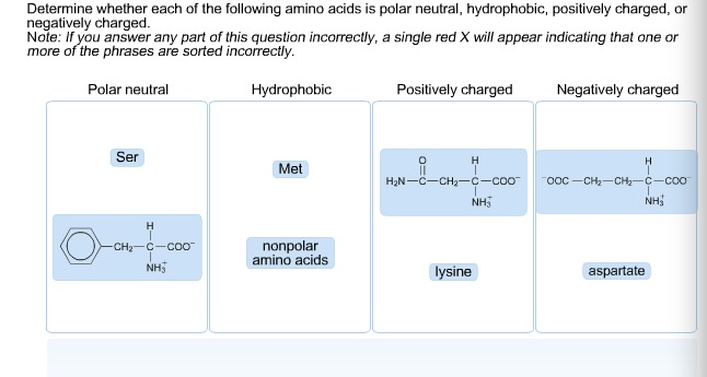Determine whether each of the following amino acid