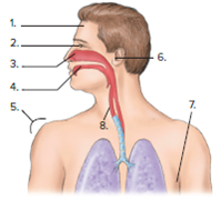 1. 2.. 3. 4. 8. 6. 7.