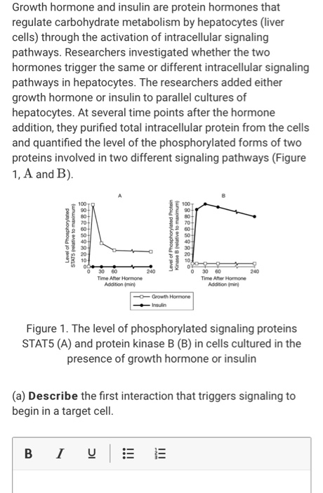 Growth hormone and insulin are protein hormones that regulate carbohydrate metabolism by hepatocytes (liver cells) through th