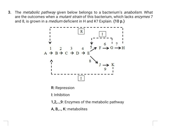 3. The metabolic pathway given below belongs to a bacteriums anabolism. What are the outcomes when a mutant strain of this b
