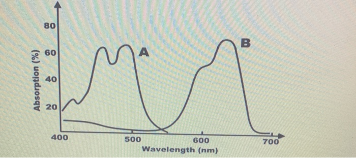 80 B 60 A Absorption (%) 40 20 400 500 600 Wavelength (nm) 700 
