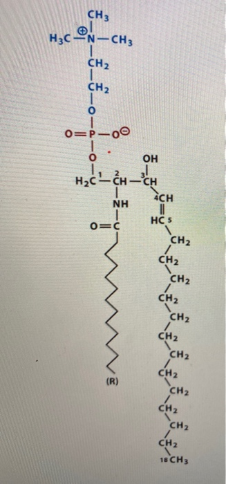 CH3 H3C-N-CH3 ? CH2 CH2 1 o O=P-OC o OH 3! Hzc -- CH -CH ACH NH || HC 5 O=C CH2 CH2 CH2 CH2 CH2 CH2 CH2 CH2 CH2 1. CH2 CH? 