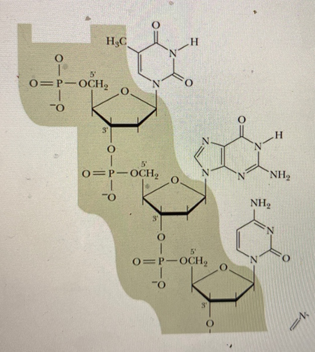 ?.? H ? N O=P-OCH, 0-4- N H O 1 o=P-OCH N NH2 ?? NH, 3 N O 5 O=P-OCH, N 8 
