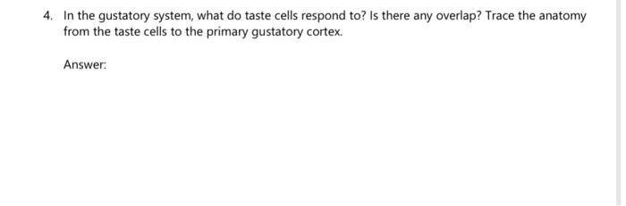 4. In the gustatory system, what do taste cells respond to? Is there any overlap? Trace the anatomy from the