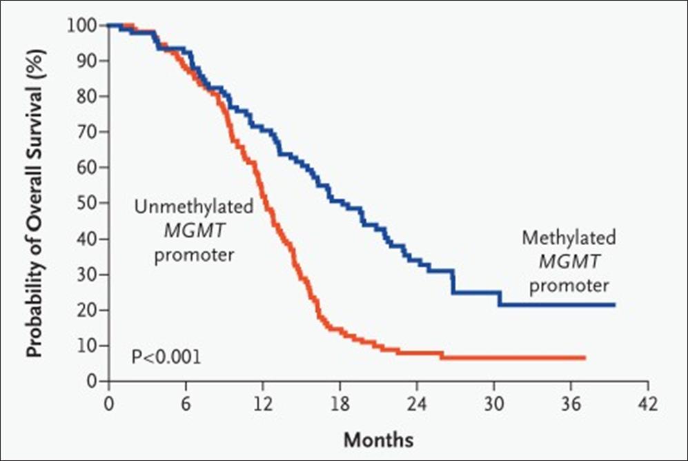 Probability of Overall Survival (%) 100- 90- 80- 70- 60- 50 40- 30- 20- 10- 0+ 0 Unmethylated MGMT promoter P