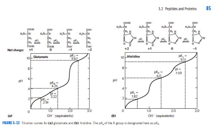 3.2 Peptides and Proteins FIGURE 3-12 Titration curves for (a) glutamate and (b) Histdine. The p ( K_{n} ) of the R group i