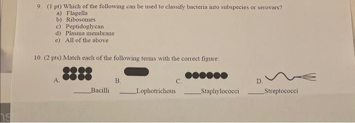 s 9. (1 pt) Which of the following can be used to classify bacteria into subspecies or serovars? a) Flagella
