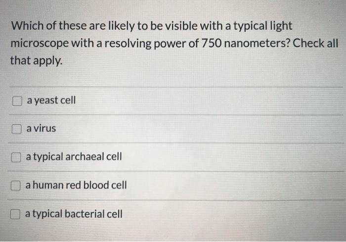 Which of these are likely to be visible with a typical light microscope with a resolving power of 750 nanometers? Check all t