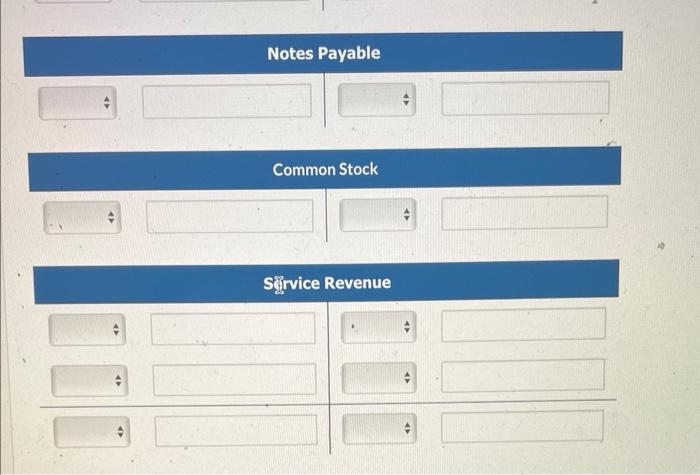 Notes Payable Common Stock Sęirvice Revenue
