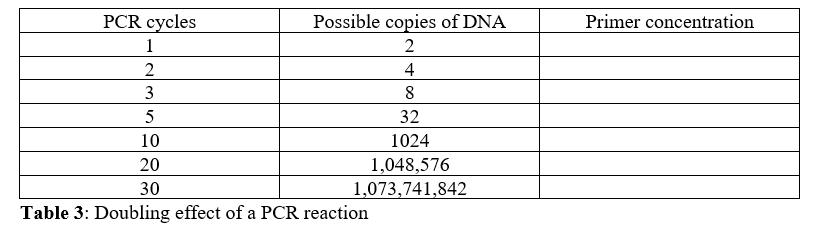 Table 3: Doubling effect of a PCR reaction