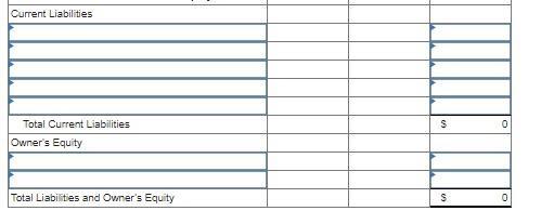 Current Liabilities S0 Total Current Liabilities Owners Equity Total Liabilities and Owners Equity S0