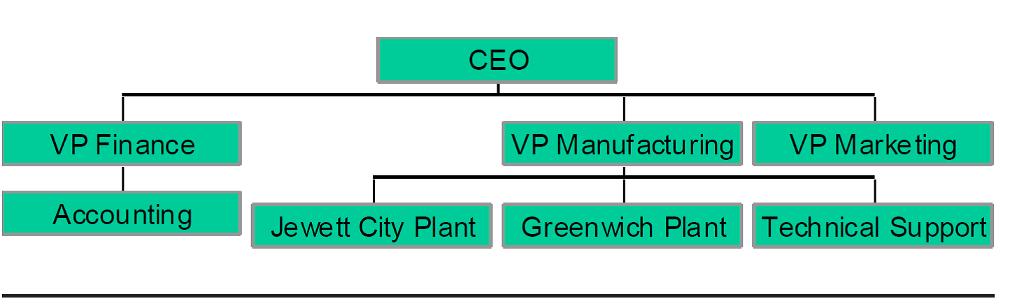 CEO VP Finance VP Manuf acturing VP Marke ting Accounting Jewett City Plant |Greenwich Plant Technical Support