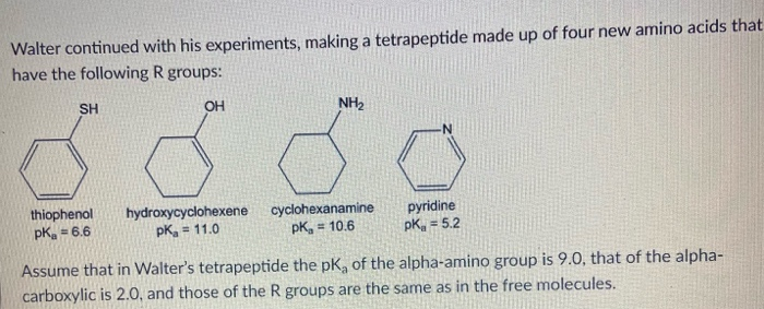 Walter continued with his experiments, making a tetrapeptide made up of four