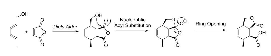 ОН .OH Nucleophlic Acyl Substitution Ring Opening Diels Alder (.;-33 == 8 .0 QH