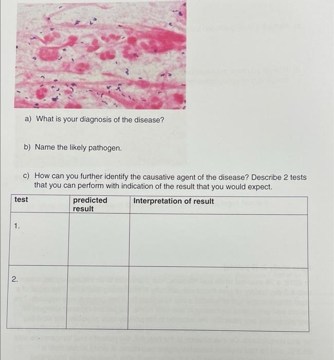 a) What is your diagnosis of the disease? b) Name the likely pathogen. c) How can you further identify the causative agent of