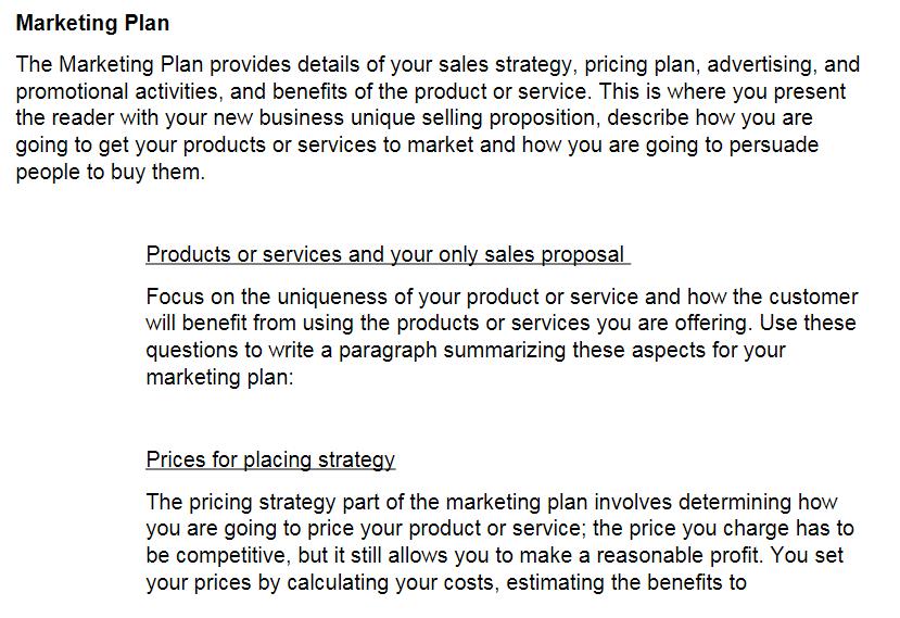 Marketing PlanThe Marketing Plan provides details of your sales strategy, pricing plan, advertising, andpromotional activit