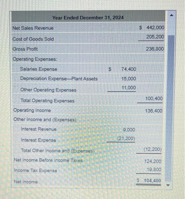 Year Ended December 31, 2024 Net Sales Revenue Cost of Goods Sold Gross Profit 236,800 Operating Expenses: