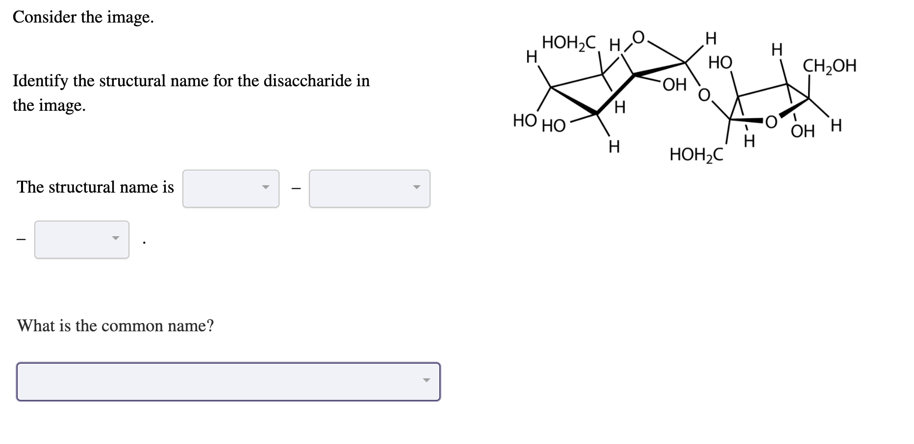 Disaccharides are joined by glycosidic bonds formed between the anomeric carbon on
